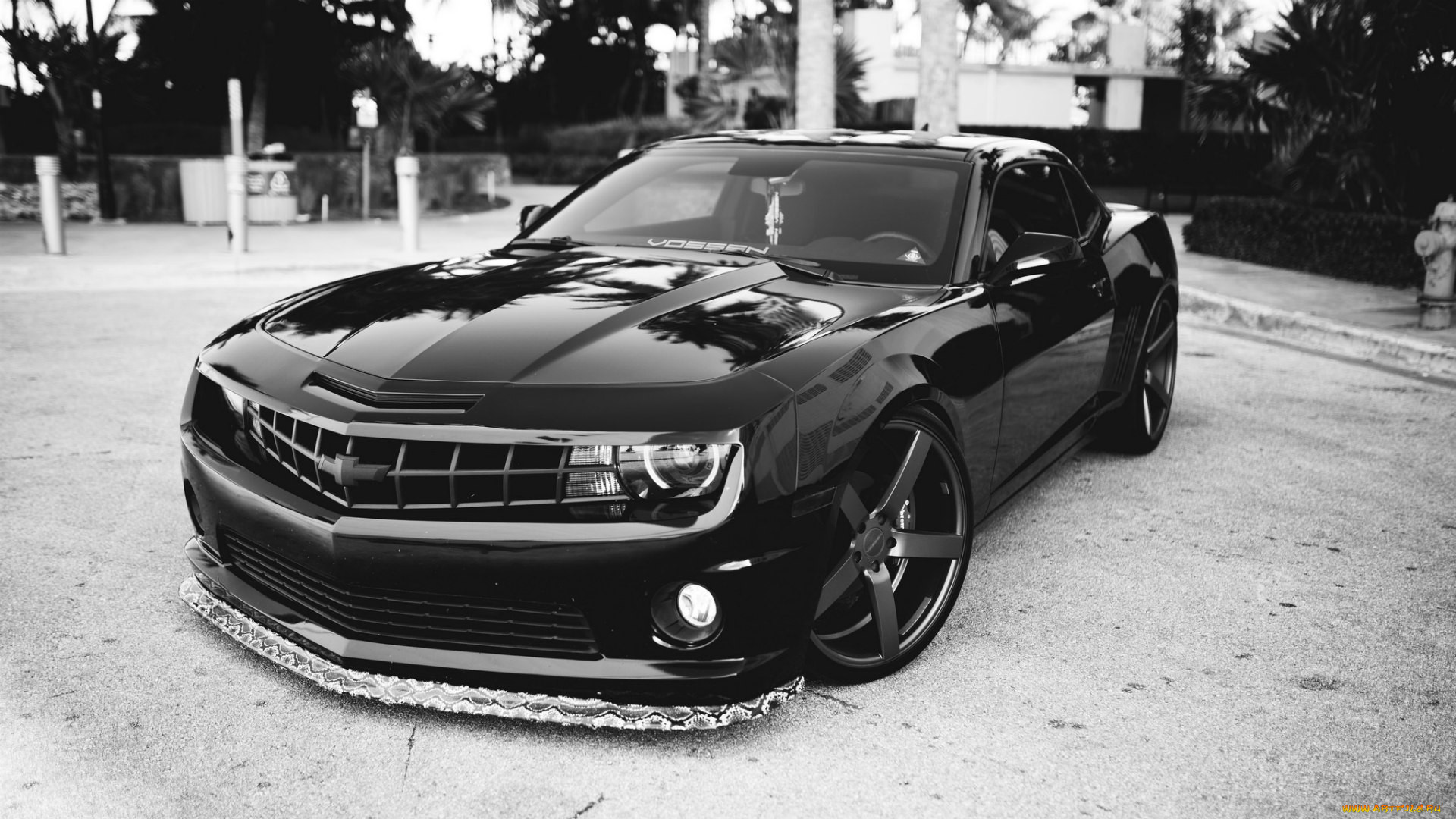 , camaro, chevrolet